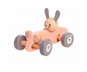 Race Car Rabbit