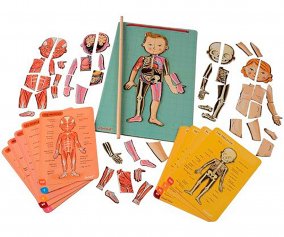 Magnetic Human Body Puzzle