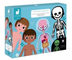 4 Quebra-Cabeas Educacionais O Corpo Humano