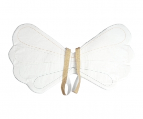 Rainbow Wings