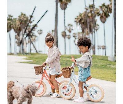 Bicicleta Banwood sem Pedais First Go! Azul Cu