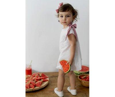 Anguria Lattice Oli&Carol  Wally Watermelon