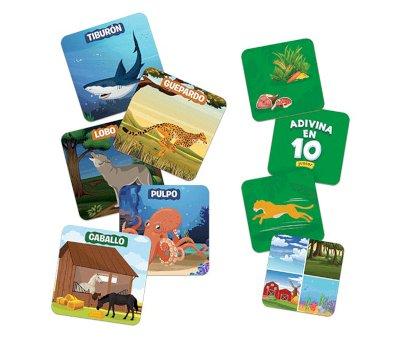 Animal World Junior