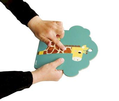 Tactile Cards Savanah