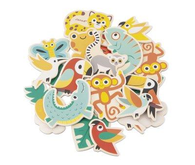 Tropical Magnets 24 Pieces