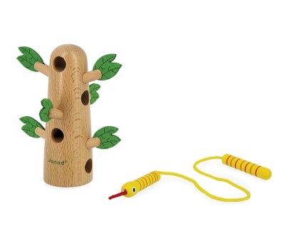 Tropical Cord Tree
