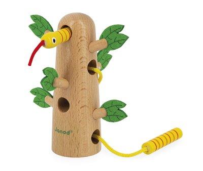 Tropical Cord Tree