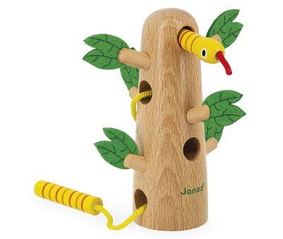 Tropical Cord Tree