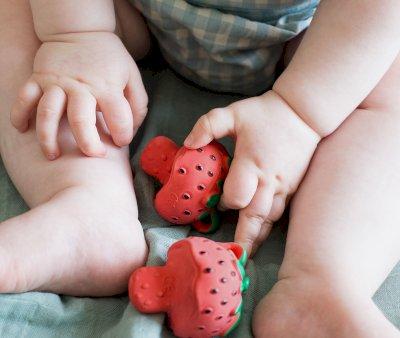Fragola Lattice Oli&Carol Sweetie the Strawberry