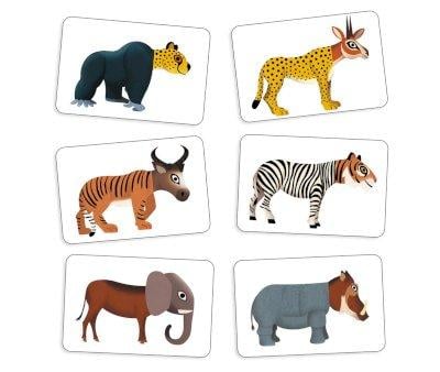 Cartes Anijumble