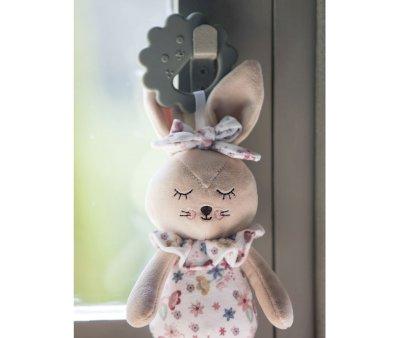 Teether Rabbit Garden