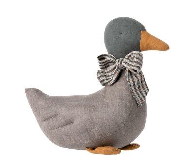 Gray Duck