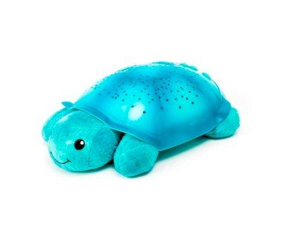Cloud b Planet Turtle and Aqua Melodies