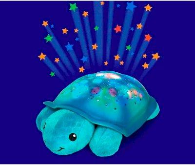 Cloud b Planet Turtle and Aqua Melodies