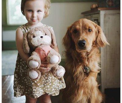 Peluche Dinkum Dogs Honey