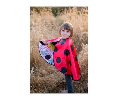 Costume de coccinelle  colorier pour 4  7 ans