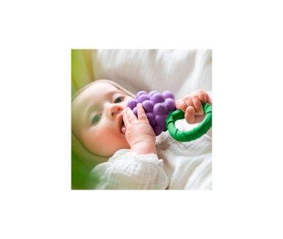 Grape Rattle Toy Teething Rattle