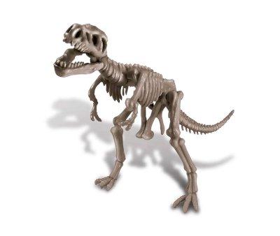 Tyrannosaurus Rex Skeleton Paleontology Kit