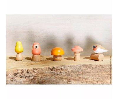 Birds and Mushrooms for Screwing
