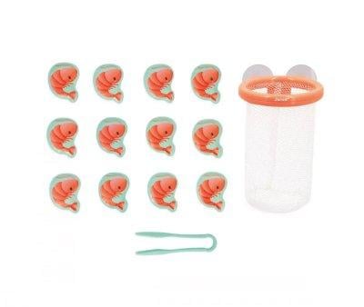 Shrimp Fishing Trap