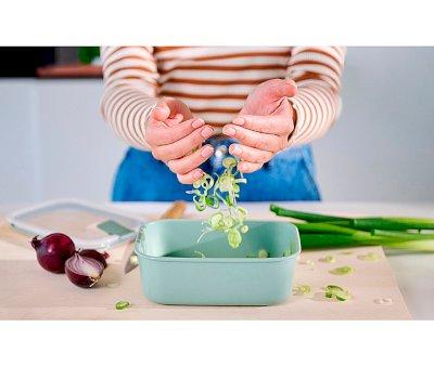 Lancheira Easyclip de 450 ml Nordic Sage