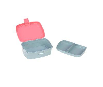 Lunch Pack Dino Rose