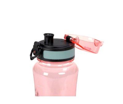 Lunch Pack Dino Rose