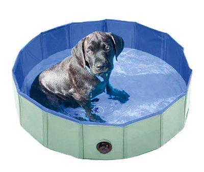 Foldable Dog Pool Mint Green