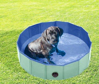 Foldable Dog Pool Mint Green