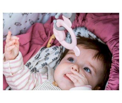 Tiny Rose Bio Activity Rings