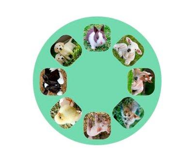 Flashlight Projector Baby Animals