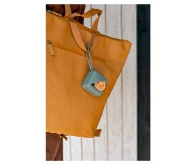 Proteggi Succhietti BIBS Case Silicone Pine