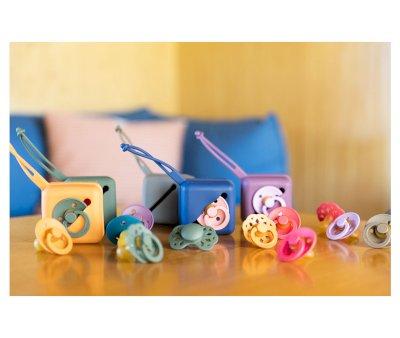 Proteggi Succhietti BIBS Case Silicone Pumpkin