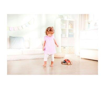 Shape Sorting Ladybug