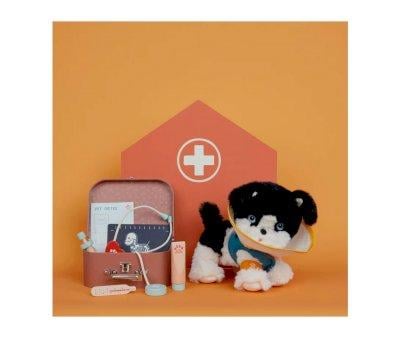 Conjunto veterinrio para ces Dinkum