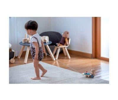 Musical Bear Pull Toy