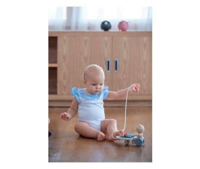 Musical Bear Pull Toy