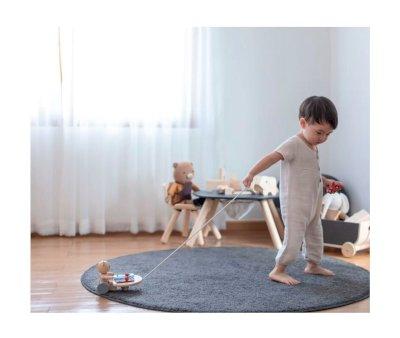 Musical Bear Pull Toy