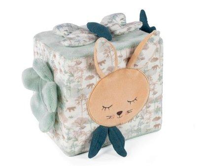 Serengeti Rabbit Activity Cube