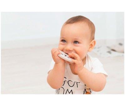 Teether Silicone Alfie The Lion Jade