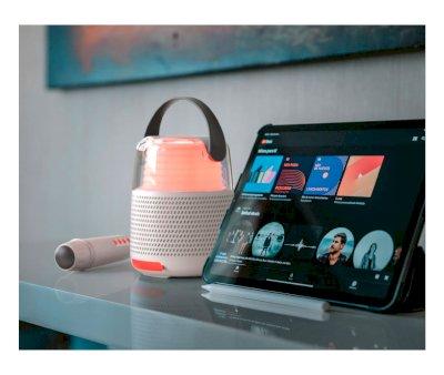 Bluetooth Speaker and Karaoke KS-80 Grey