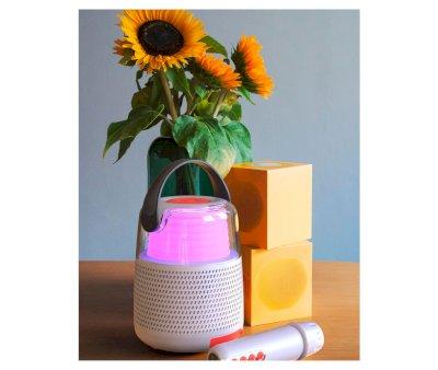 Bluetooth Speaker and Karaoke KS-80 Grey