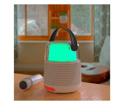 Bluetooth Speaker and Karaoke KS-80 Grey