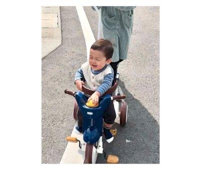 Elegant Blue Tricycle