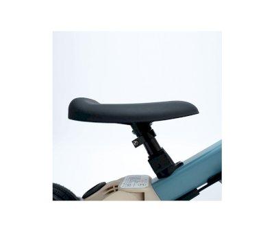 Tricycle polyvalent Gyro Blue