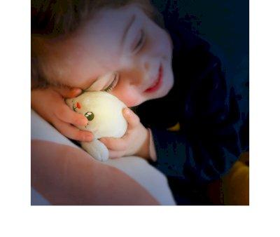 Mini Plush Luminous Seal