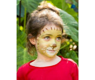Kit Trucco Lion & Giraffe