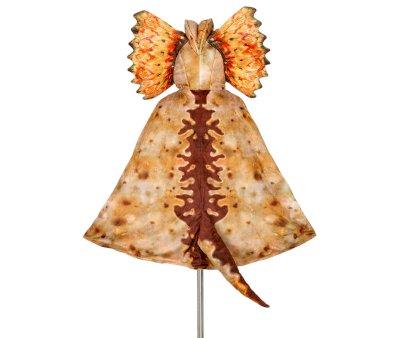 Disfraz Capa Dilophosaurus