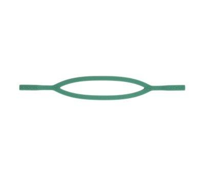 Cinta Silicona para Gafas Beb Fern