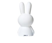 Prima Luce Coniglietto Miffy
